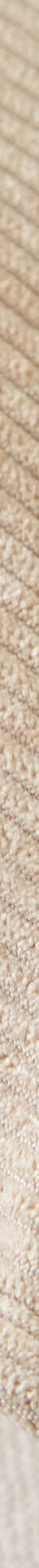 Effen kussen in ribvelours (beige) Effen kussen in ribvelours (beige)